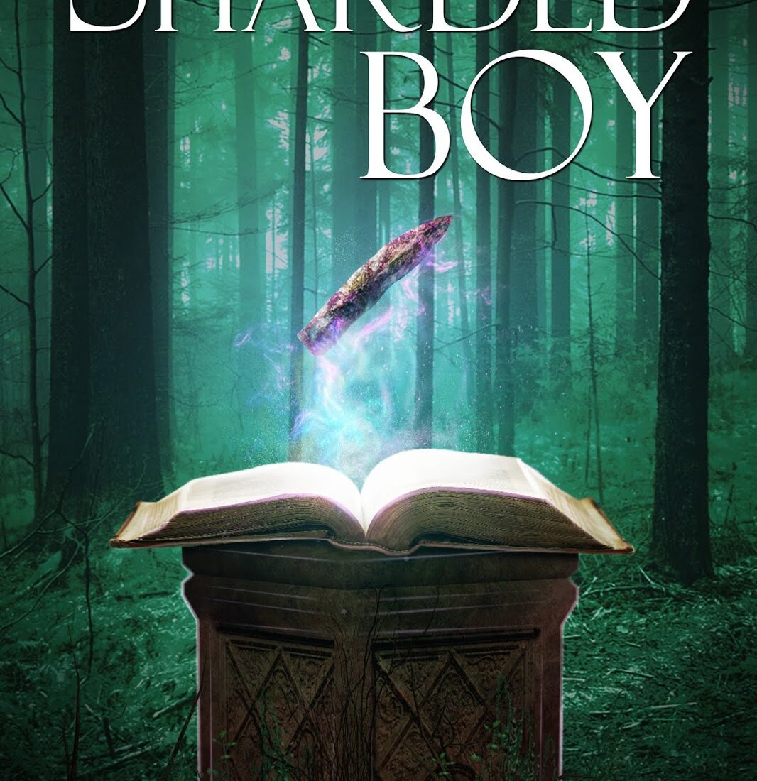 Cover of The Sharded Boy cover