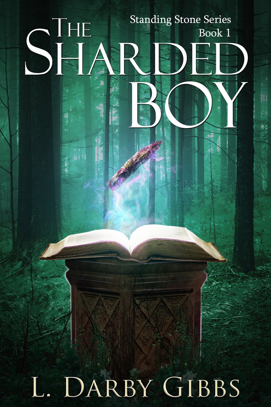 Cover of The Sharded Boy cover